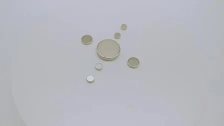 Axial Flux Motor Lowes Magnet NdFeB Magnet Neodymium Permanent Magnets for Sale